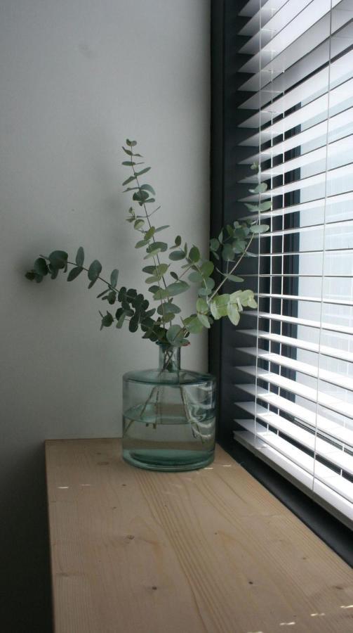 No. 9 Keurboom Apartment Кейптаун Екстериор снимка